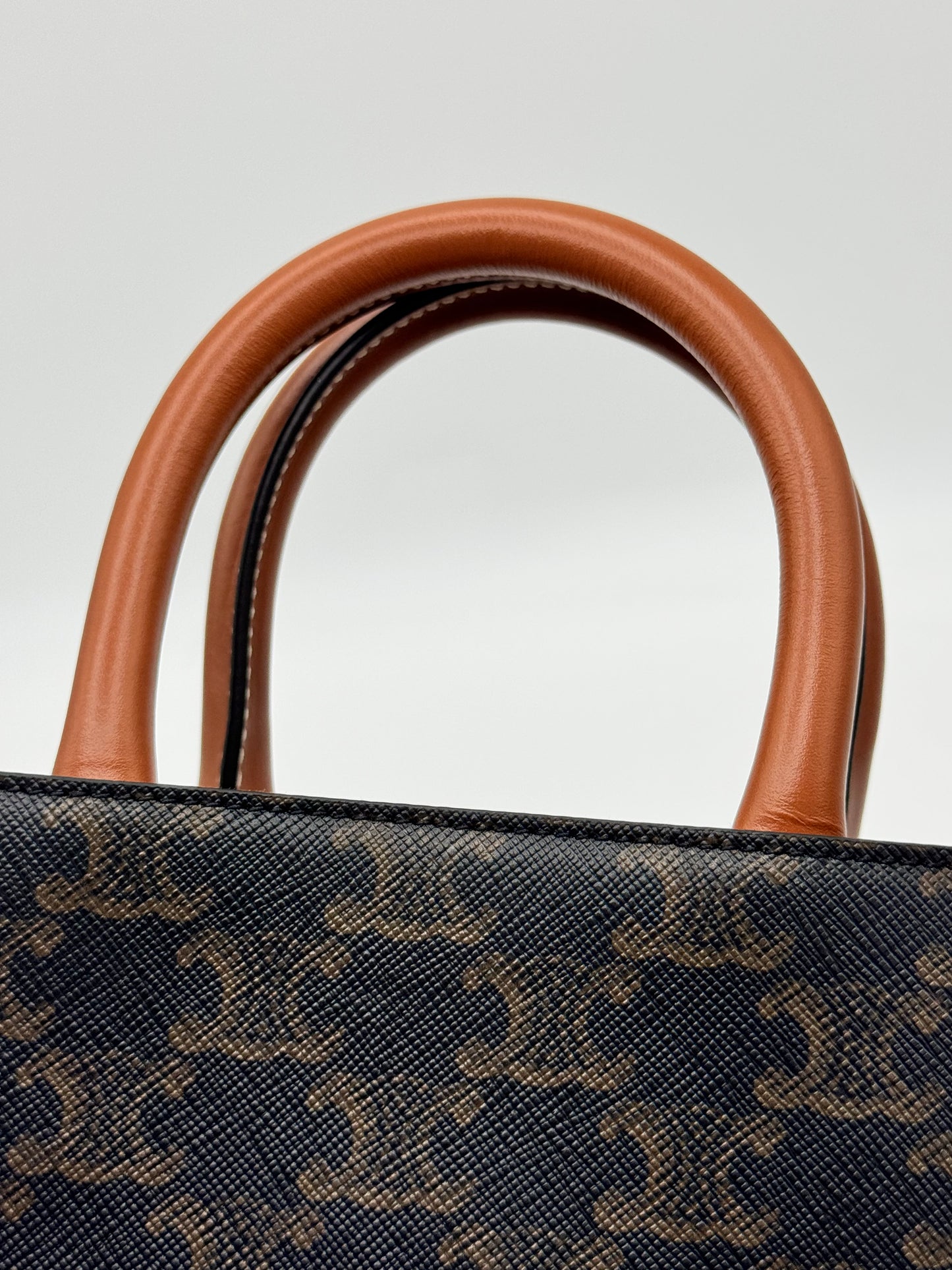 Celine Triomphe Canvas Calfskin Mini Vertical Cabas Tan